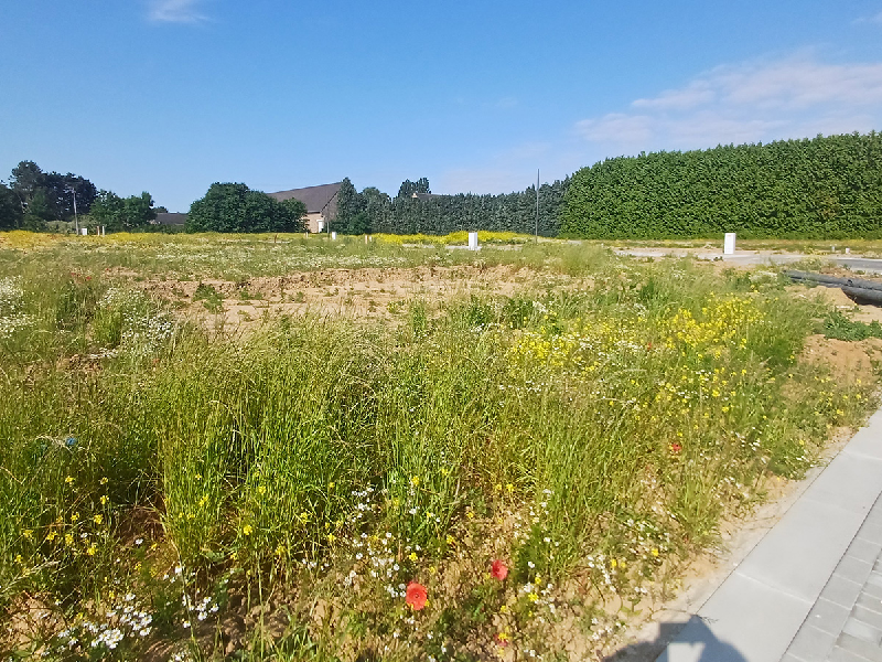 Terrain à vendre à Eghezée - Lot 34